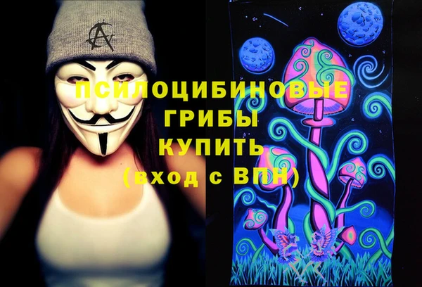 дмт Мегион