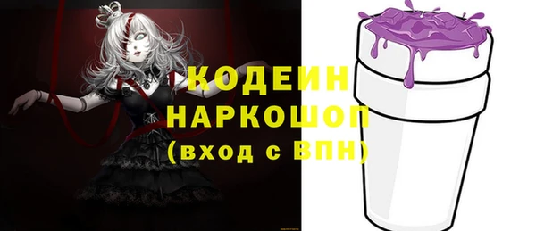 дмт Мегион