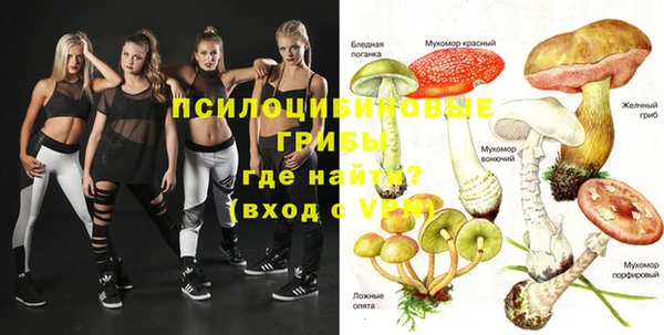 прущая мука Медвежьегорск