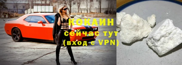 дмт Мегион